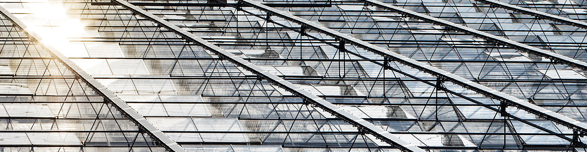 ValkGreenTop | Improve climate control in greenhouses with outer screens